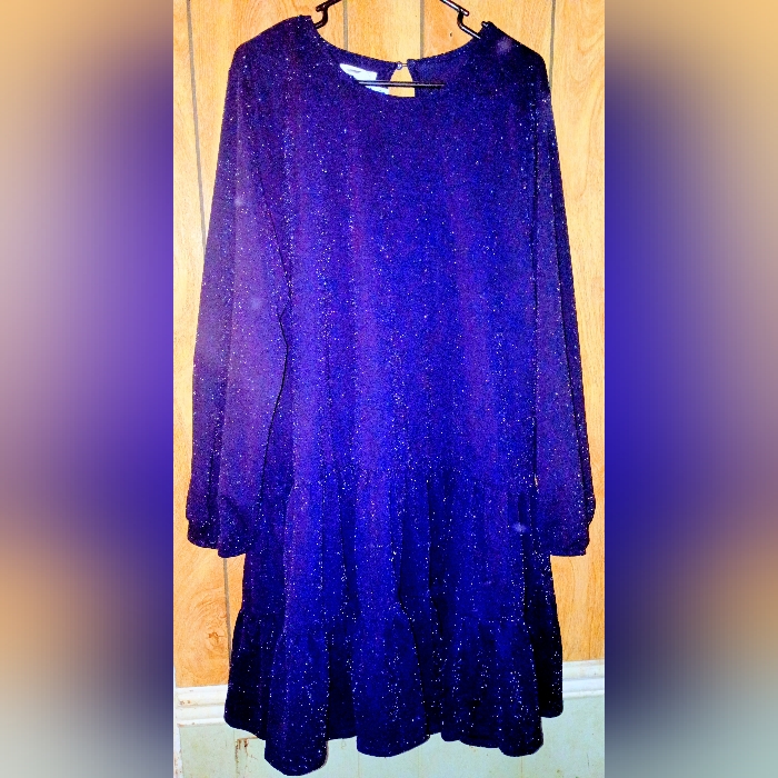 Vintage Meurices Blue Long Sleeve Asymmetrical Drop Waist Dress